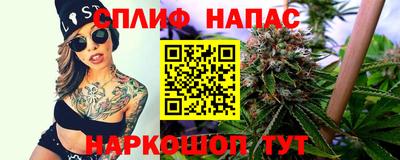 сатива Обнинск
