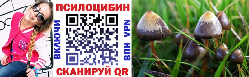 Галлюциногенные грибы MAGIC MUSHROOMS  Валуйки 