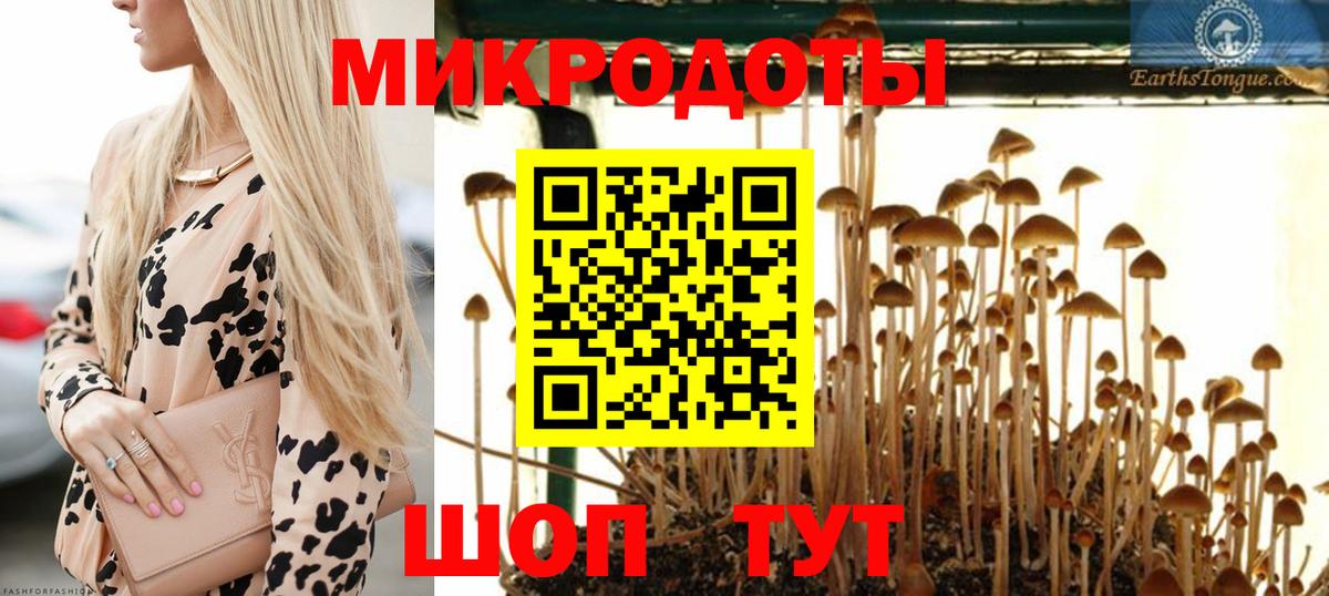 Псилоцибиновые грибы GOLDEN TEACHER Валуйки