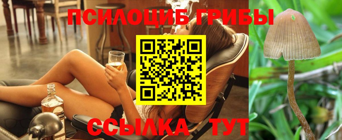 Галлюциногенные грибы мухоморы  Галлюциногенные грибы прущие грибы  Вход с VPN  Валуйки 